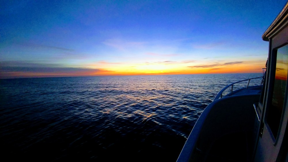 20171022_064508-EFFECTS